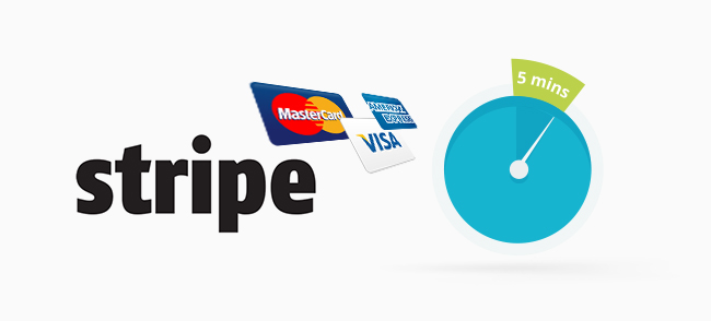 Stripe Visa