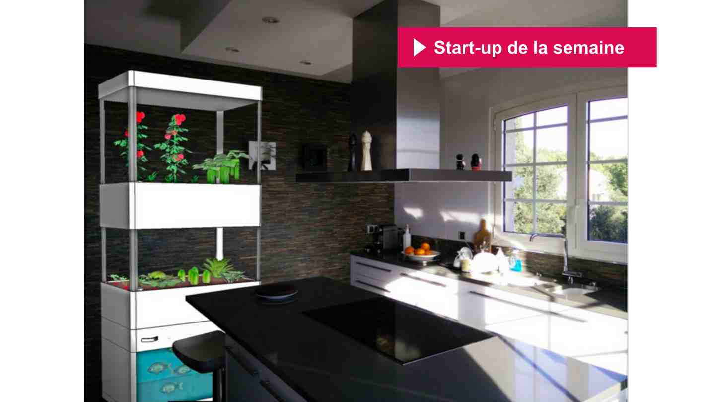 Risebox startup de la semaine