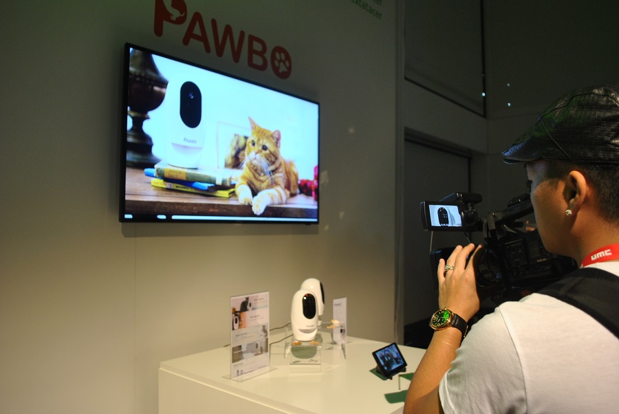 pawbo pres acer