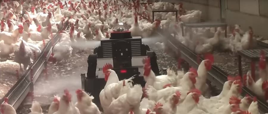 cloture virtuelle autonome