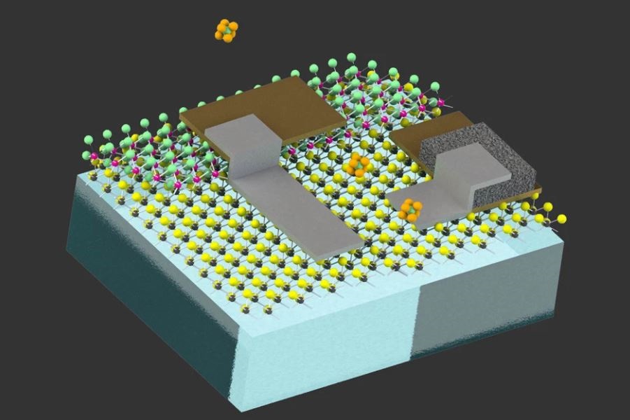 robot microscopique