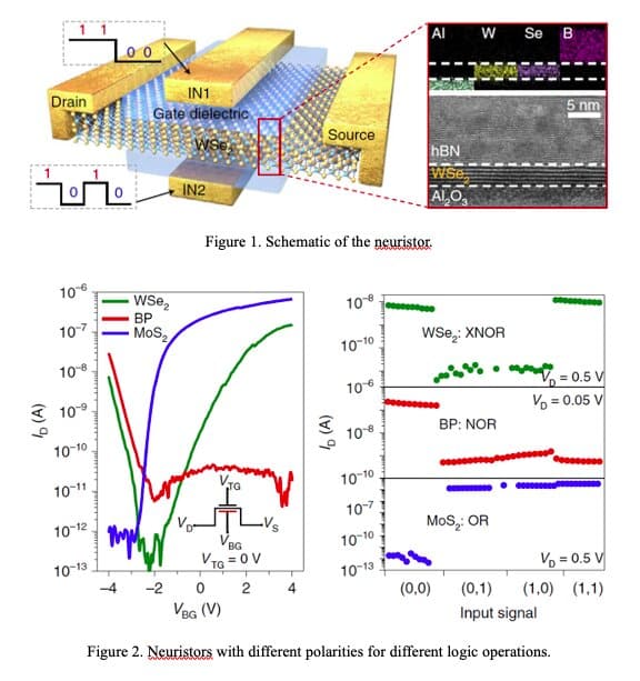 neuristors