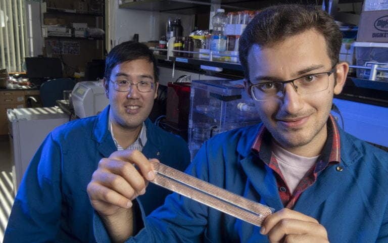 Un tissu innovant permet la communication numérique entre le porteur et les appareils à proximité