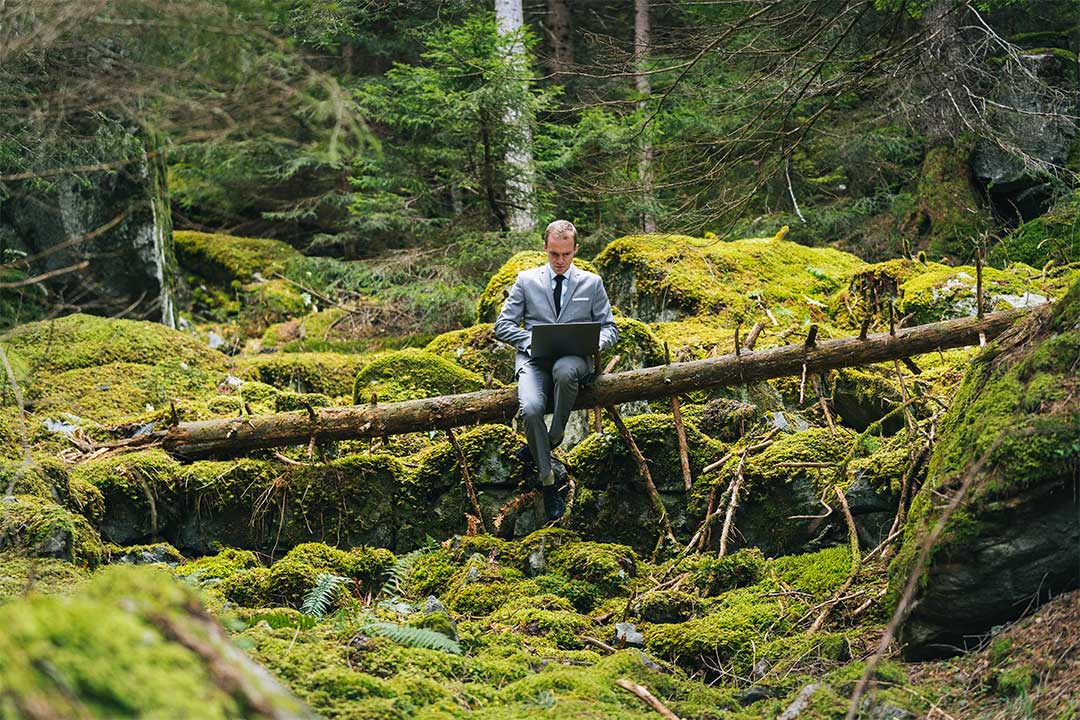 IoT et durabilité : pour quel impact environnemental ?