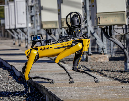 Il robot Spot come agente di pattuglia nel sito archeologico di Pompei