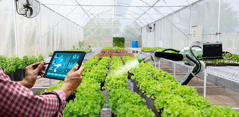 LPWAN et IoT : vers une agriculture plus intelligente
