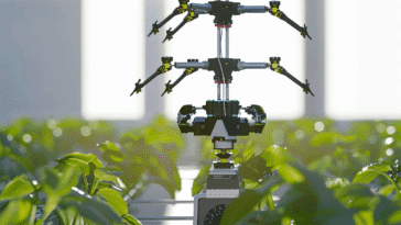 Robot pollinisateur Pollinisation de précision Innovation agricole
