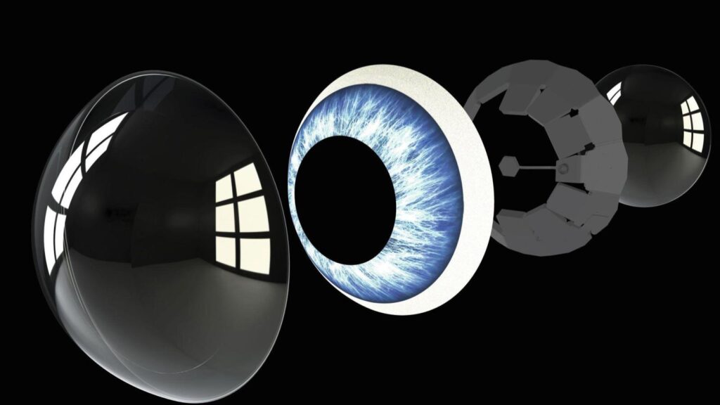 Les avantages des étiquettes RF dans le suivi oculaire