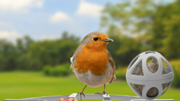 Smart Birdfeeder
