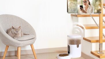 Imou Pet Feeder PF1